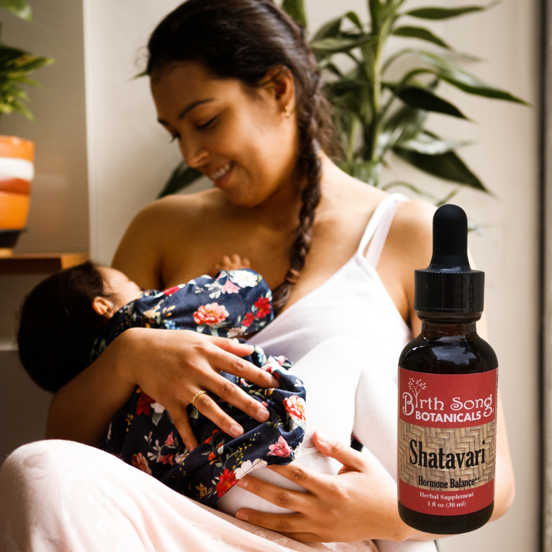 Shatavari Root Tincture Herbal Supplement for Lactation and Hormone Harmony In Women 1 oz.