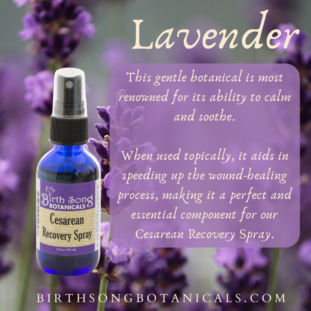 Herbal Cesarean Spray with Lavender, To Support Healthy Skin* 2 oz.
