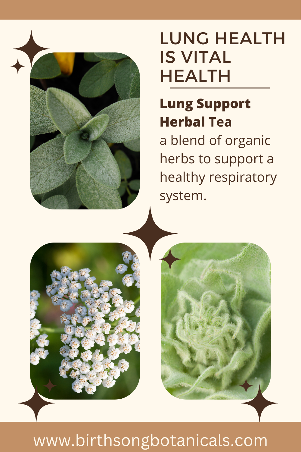 Lung Support Herbal Tea for Bronchial Wellness, Respiratory and Immune Support for Clear Breathing* 3 oz.