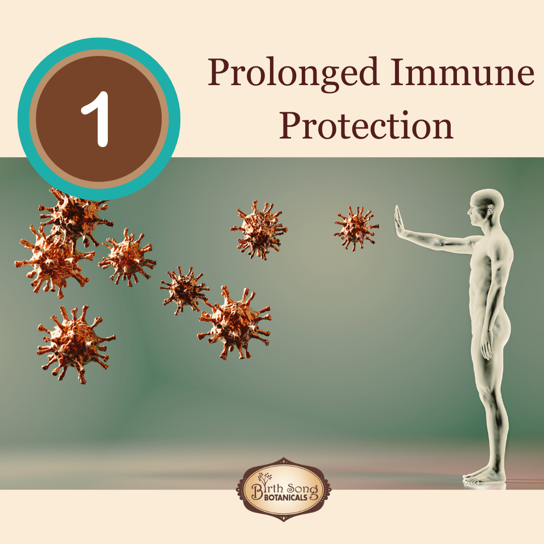 Astragalus Root Complex Immune Support Supplement*