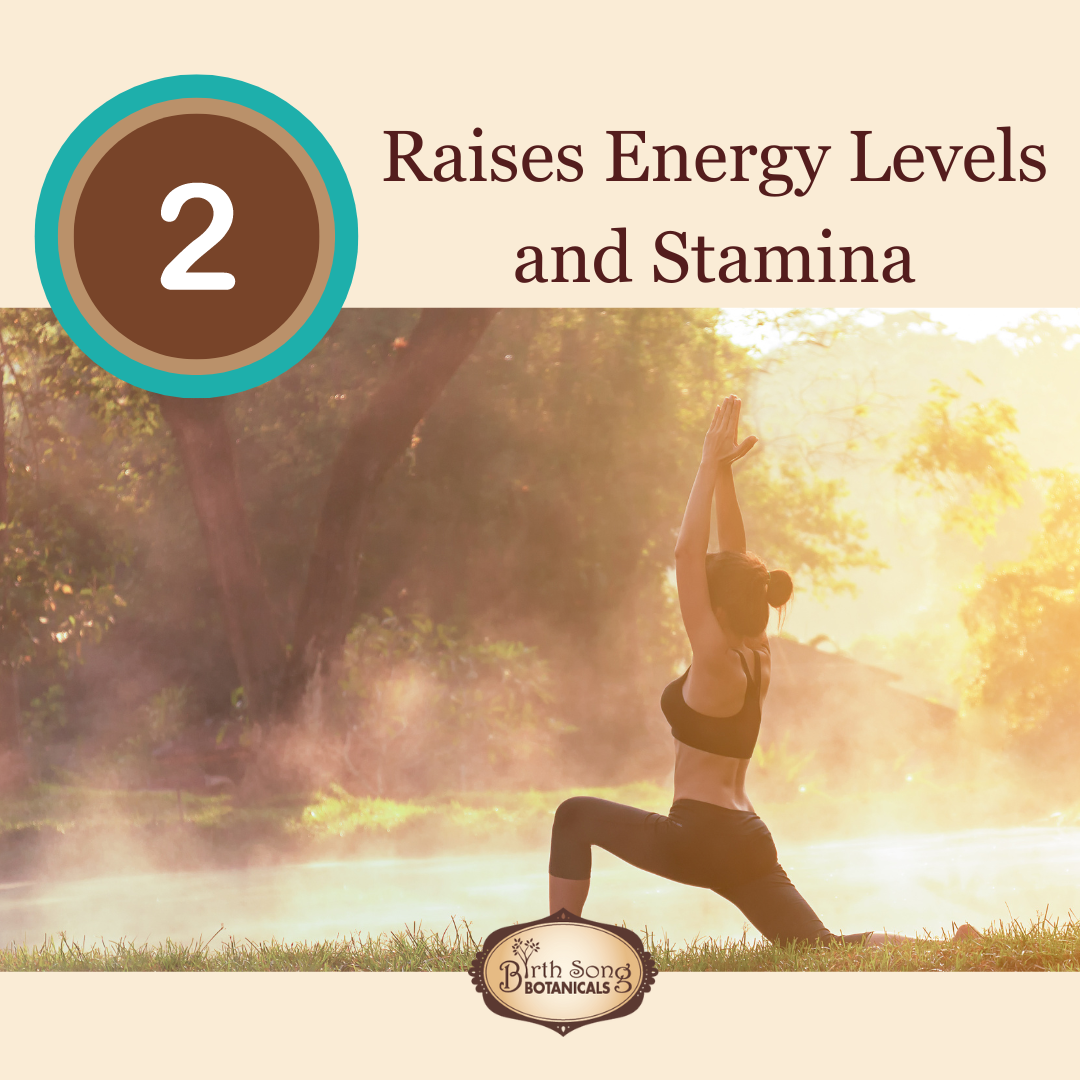 Astragalus Root Complex Immune Support Supplement*