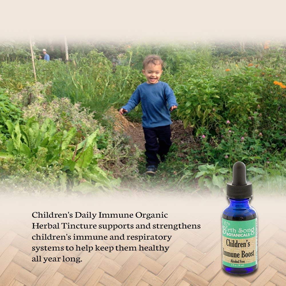Children's Immune Booster Tincture*  with Organic Echinacea 1 oz.