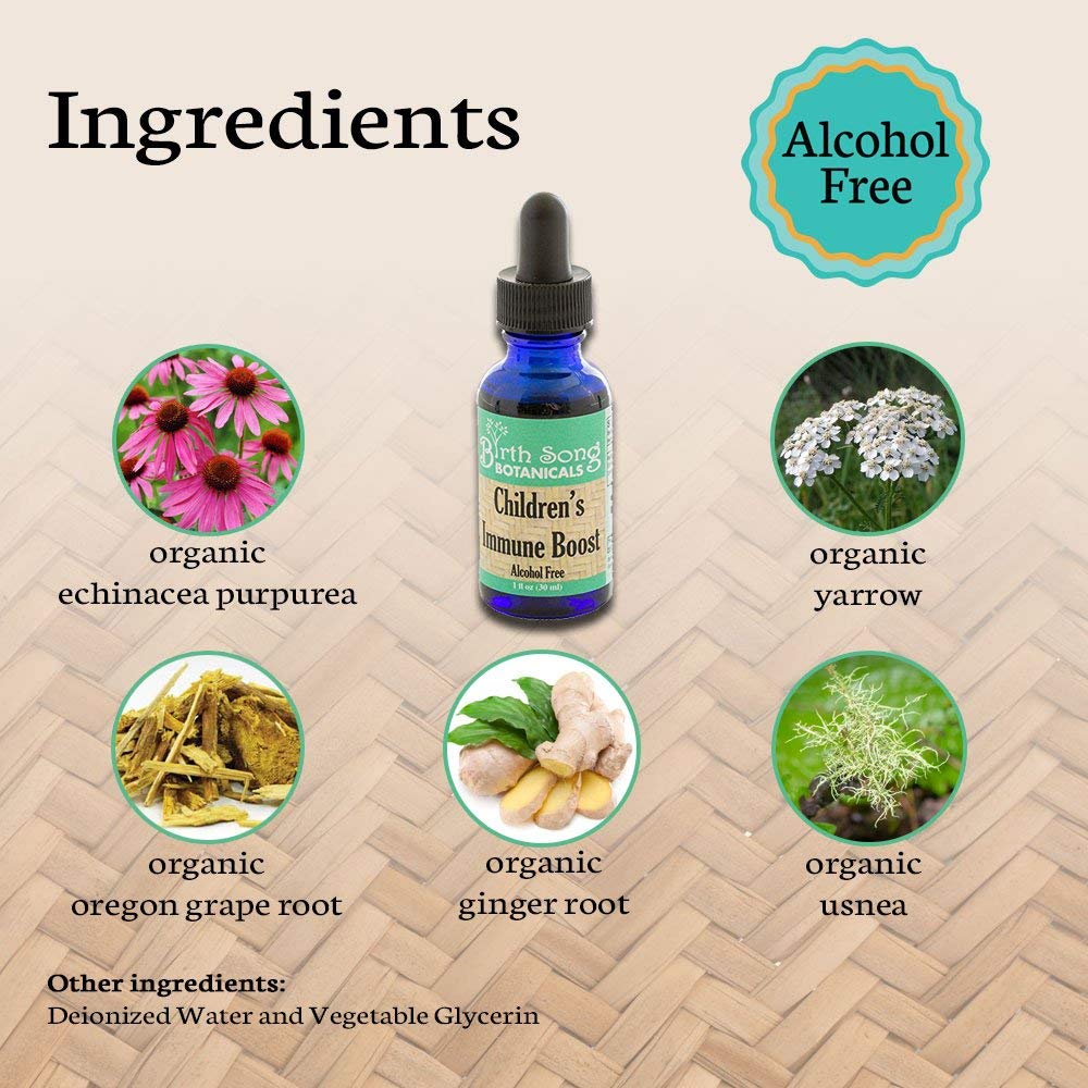 Children's Immune Booster Tincture*  with Organic Echinacea 1 oz.