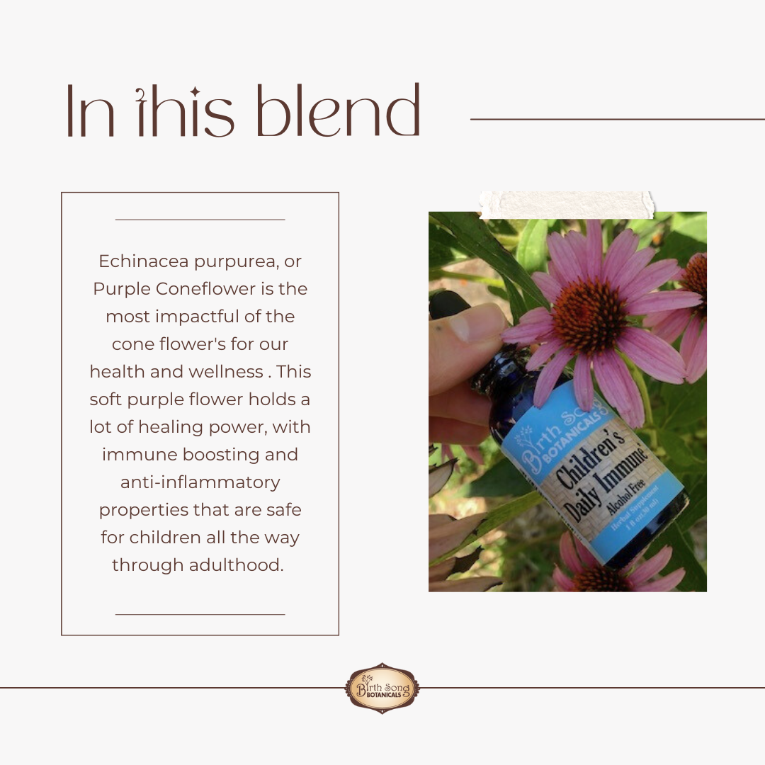 Children's Daily Immune* Herbal Tincture with Astragalus Root 1 oz.