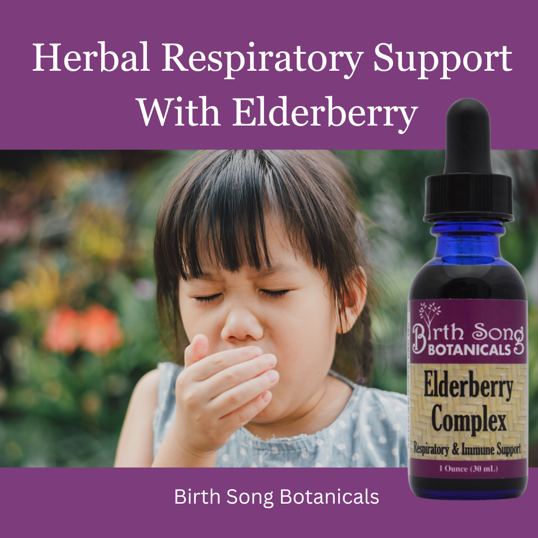 Elderberry Complex Tincture Potent Herbal Immune Support Supplement to Maintain Health and Well-Being* 1 oz.