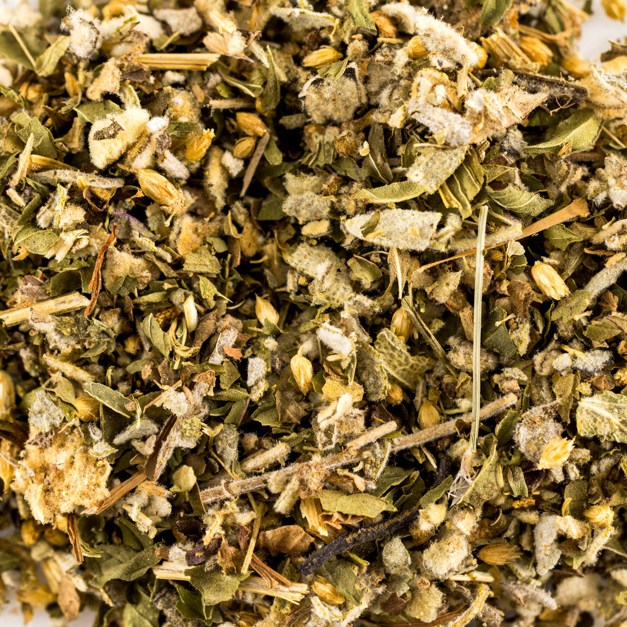 Lung Support Herbal Tea for Bronchial Wellness, Respiratory and Immune Support for Clear Breathing* 3 oz.