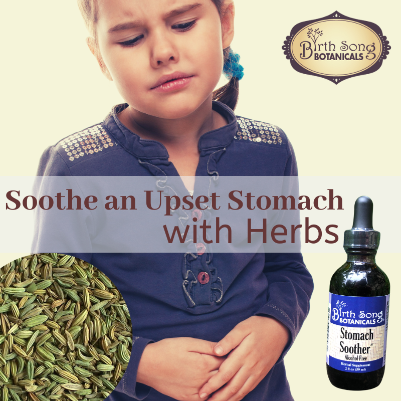 Stomach Soother Herbal Digestive Aid Tincture