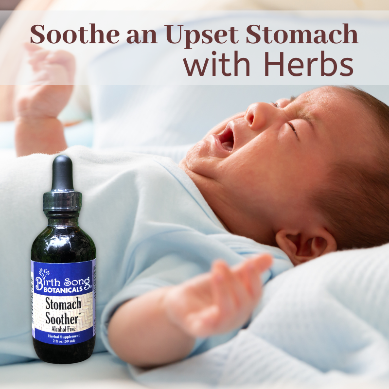 Stomach Soother Herbal Colic Drops for Babies